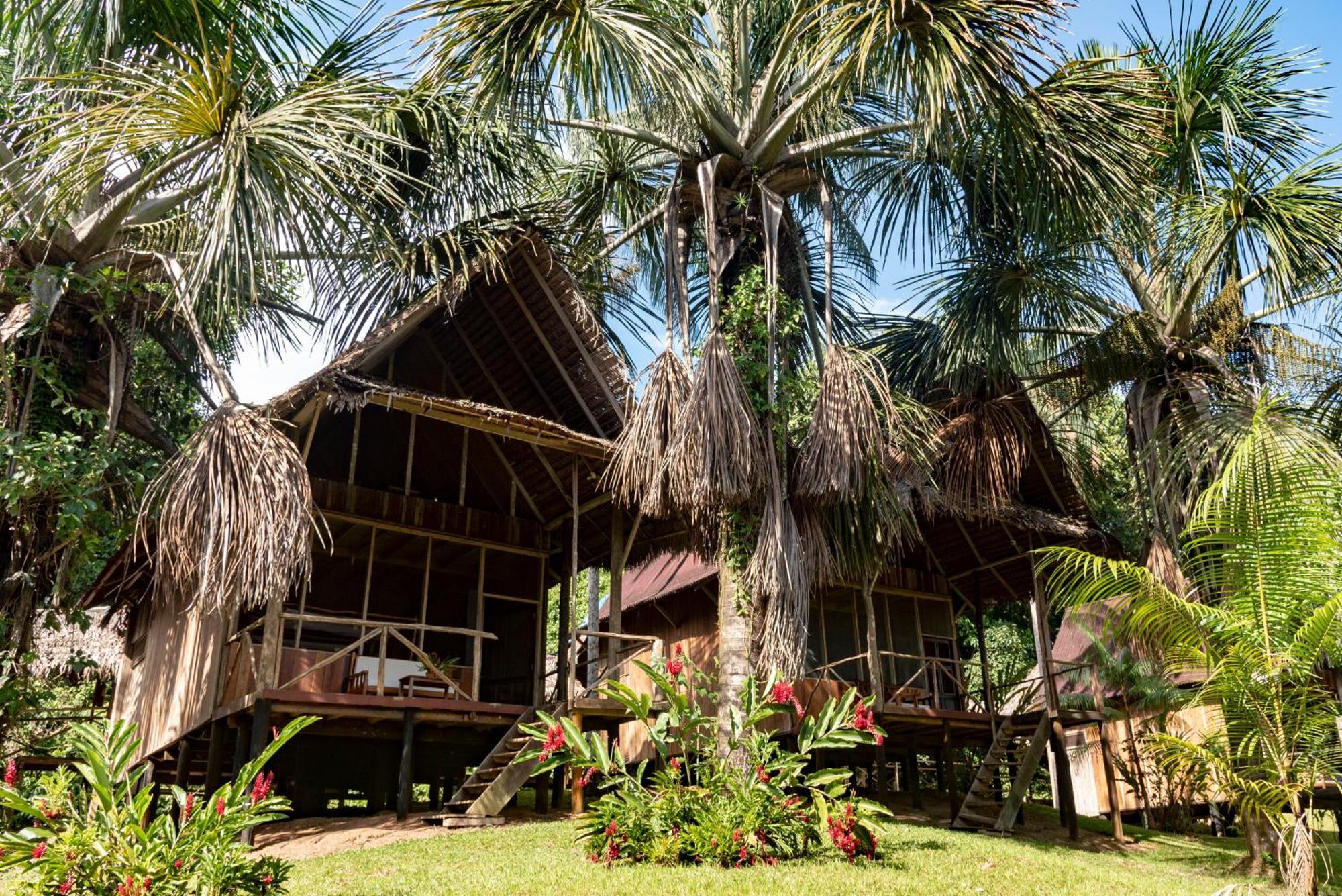 Pacaya Samiria Amazon Lodge Nauta Exteriör bild